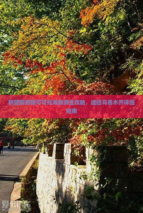 鹤壁到新疆可可托海旅游全攻略，途径乌鲁木齐详细指南