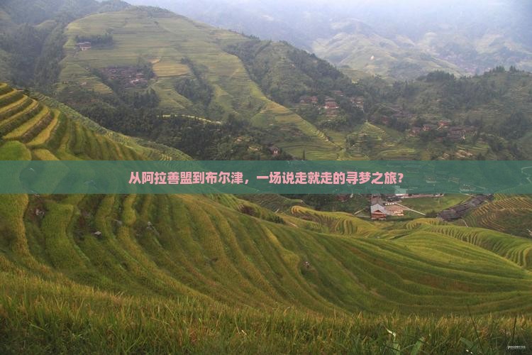 从阿拉善盟到布尔津，一场说走就走的寻梦之旅？