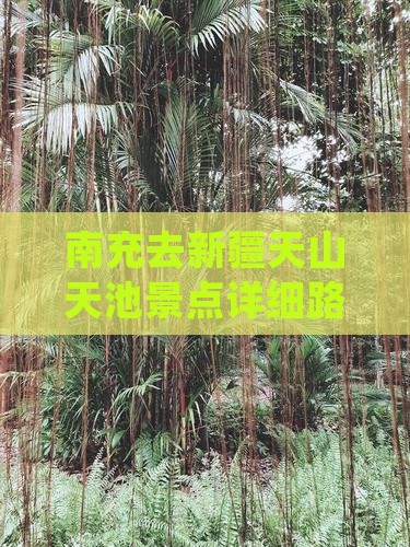 南充去新疆天山天池景点详细路线及行走指南