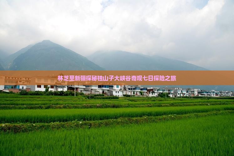 林芝至新疆探秘独山子大峡谷奇观七日探险之旅