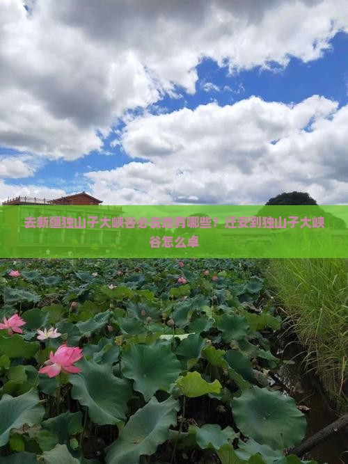 去新疆独山子大峡谷必去地有哪些？迁安到独山子大峡谷怎么卓