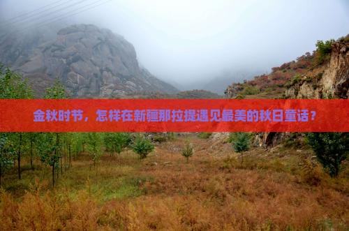 金秋时节，怎样在新疆那拉提遇见最美的秋日童话？