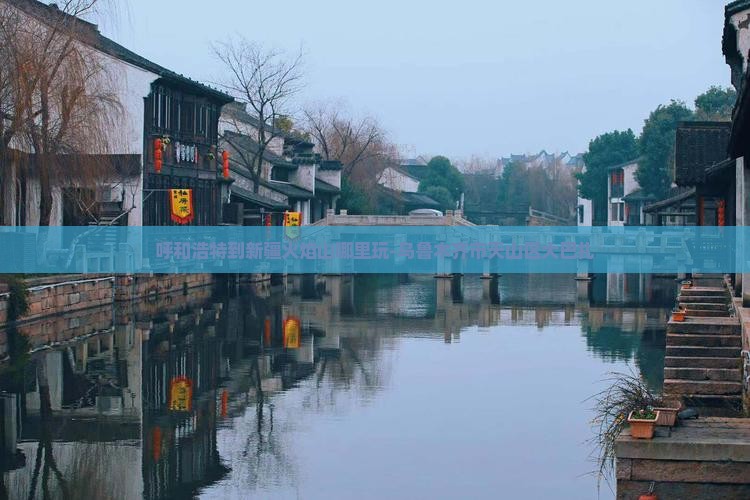 呼和浩特到新疆火焰山哪里玩-乌鲁木齐市天山区大巴扎