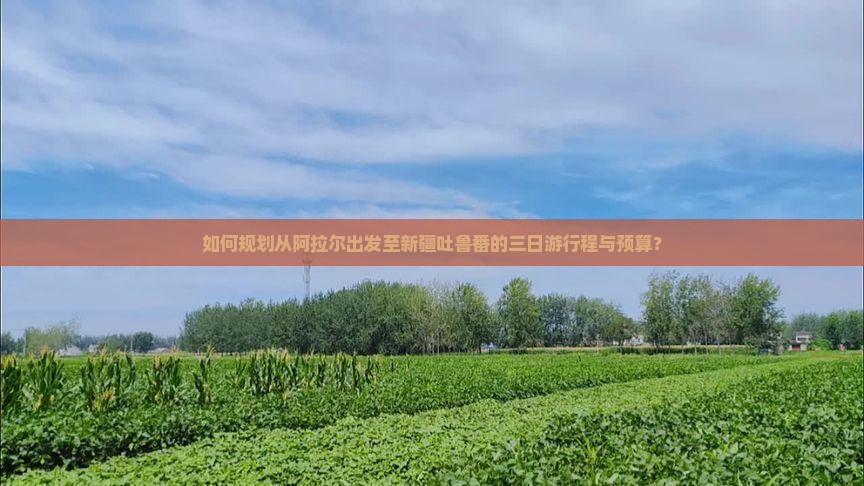 如何规划从阿拉尔出发至新疆吐鲁番的三日游行程与预算？
