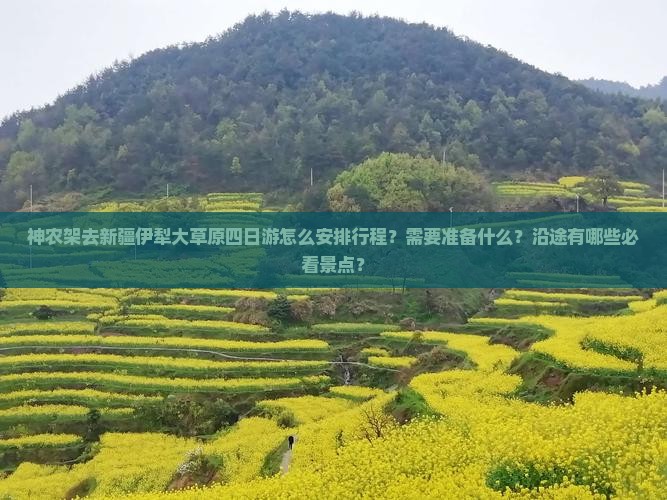 神农架去新疆伊犁大草原四日游怎么安排行程？需要准备什么？沿途有哪些必看景点？