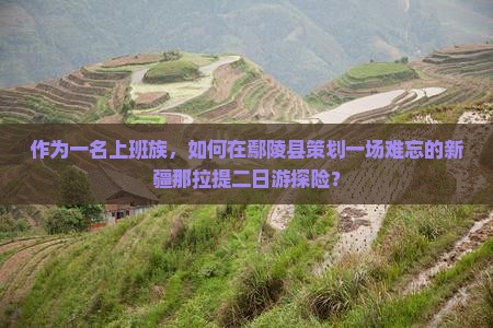 作为一名上班族，如何在鄢陵县策划一场难忘的新疆那拉提二日游探险？