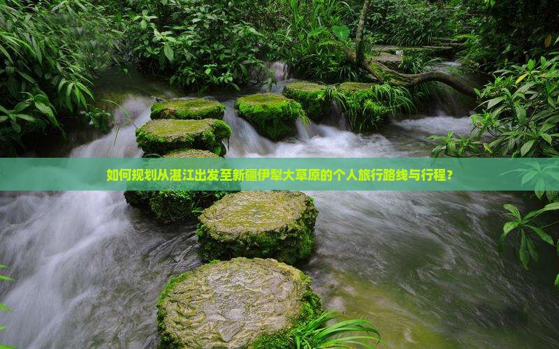 如何规划从湛江出发至新疆伊犁大草原的个人旅行路线与行程？