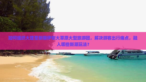 如何组织大理至新疆伊犁大草原大型旅游团，解决游客出行痛点，融入哪些新潮玩法？