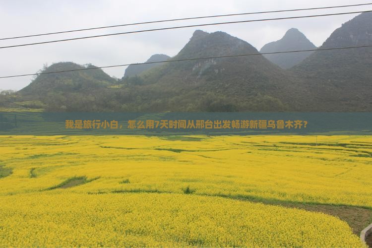 我是旅行小白，怎么用7天时间从邢台出发畅游新疆乌鲁木齐？
