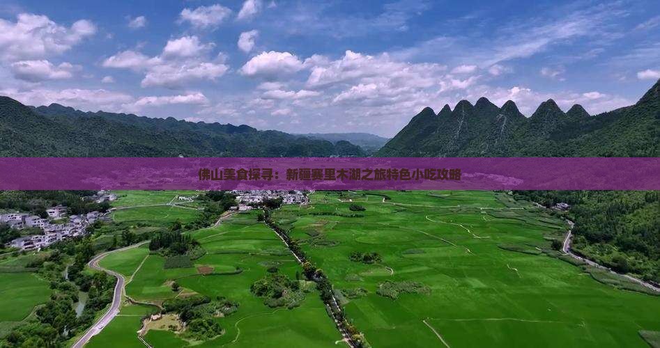 佛山美食探寻：新疆赛里木湖之旅特色小吃攻略