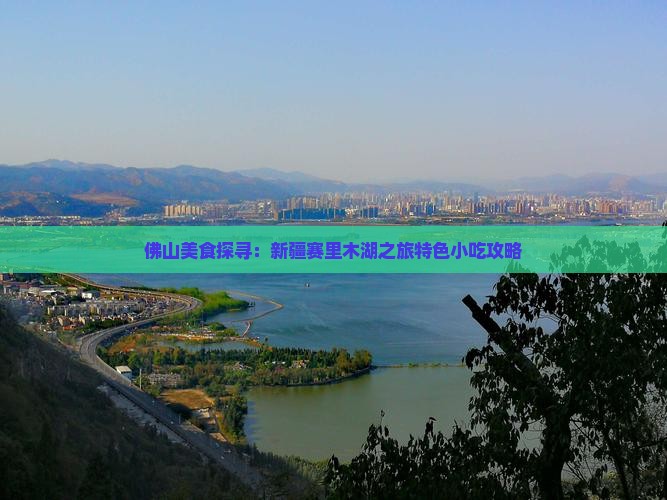 佛山美食探寻：新疆赛里木湖之旅特色小吃攻略