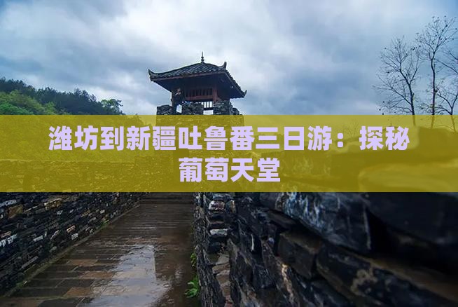 潍坊到新疆吐鲁番三日游：探秘葡萄天堂