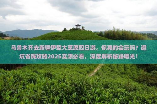 乌鲁木齐去新疆伊犁大草原四日游
