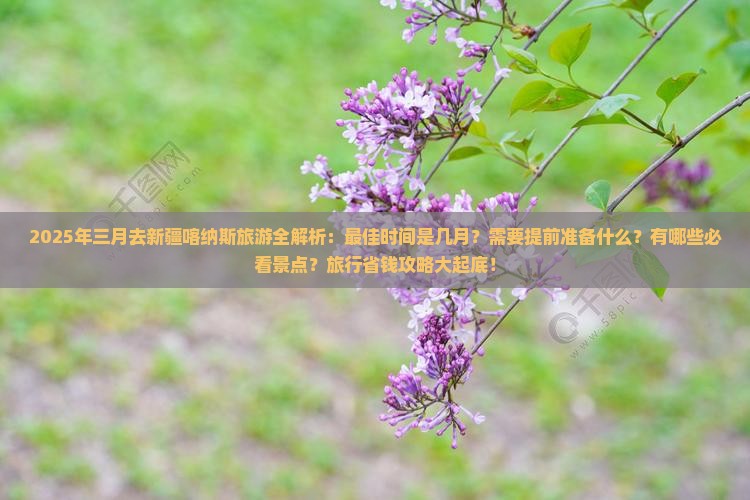三月去新疆喀纳斯旅游