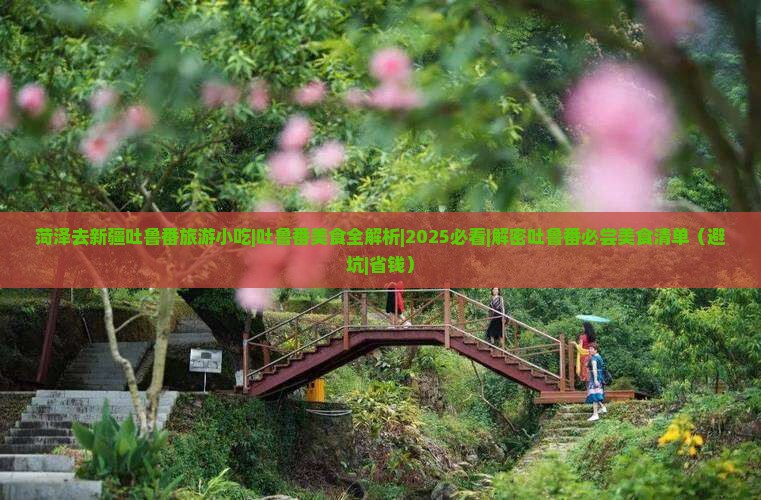 菏泽去新疆吐鲁番旅游小吃