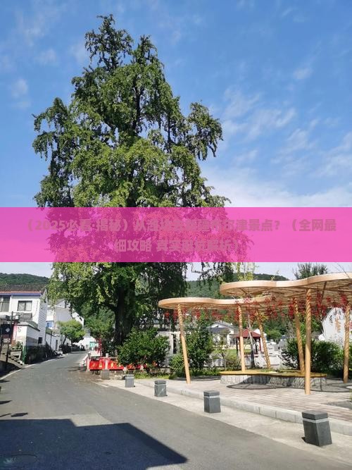 潍坊去新疆布尔津景点