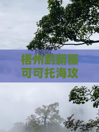 梧州到新疆可可托海自由行