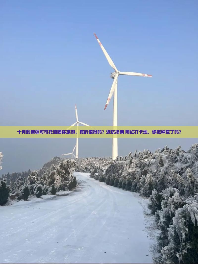十月到新疆可可托海团体旅游