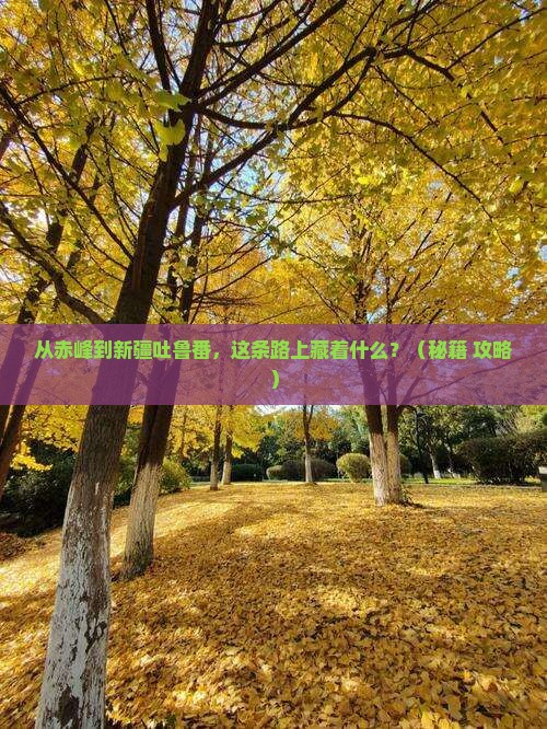 赤峰到新疆吐鲁番必去地