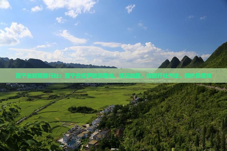 西宁去新疆旅行社