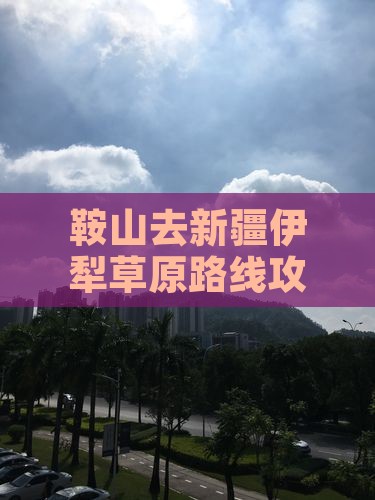 鞍山去新疆伊犁大草原四日游
