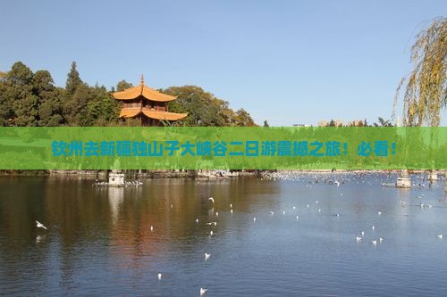钦州去新疆独山子大峡谷二日游