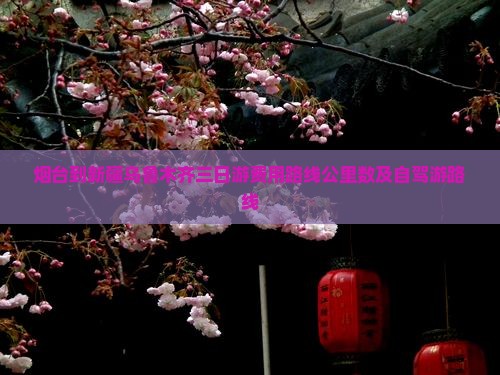 烟台到新疆乌鲁木齐三日游