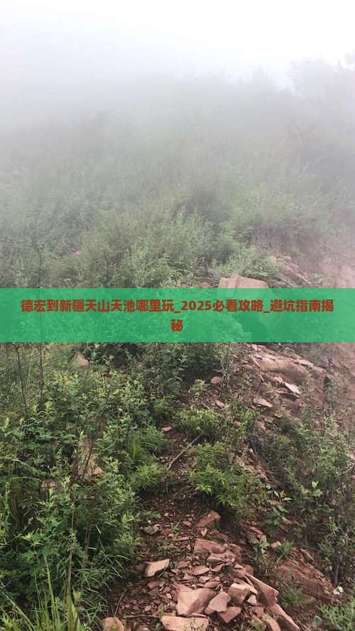 德宏到新疆天山天池哪里玩