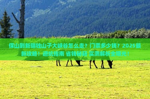保山到新疆独山子大峡谷门票