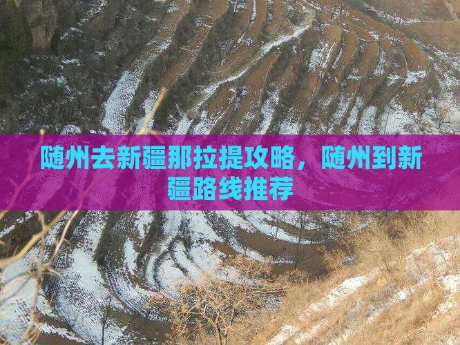 随州去新疆那拉提攻略