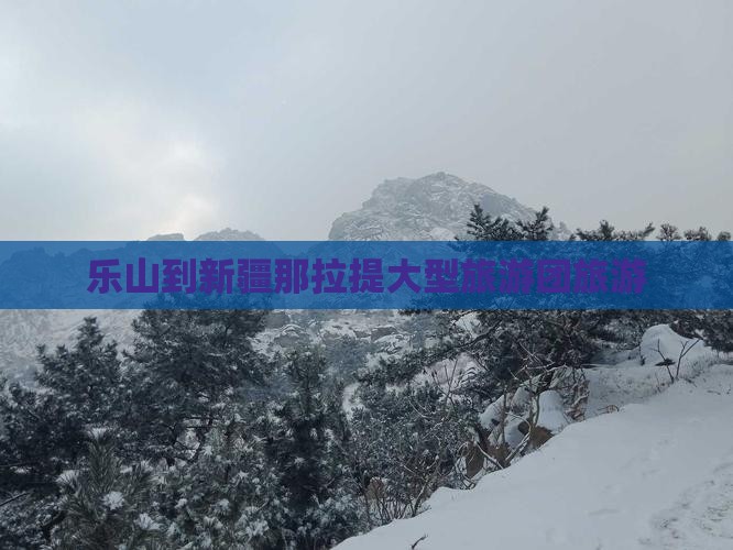 乐山到新疆那拉提大型旅游团