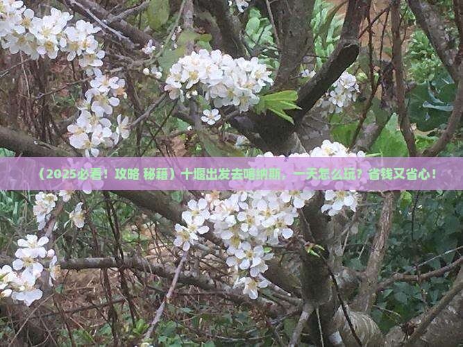 十堰到新疆喀纳斯一日