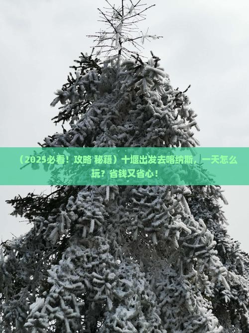 十堰到新疆喀纳斯一日