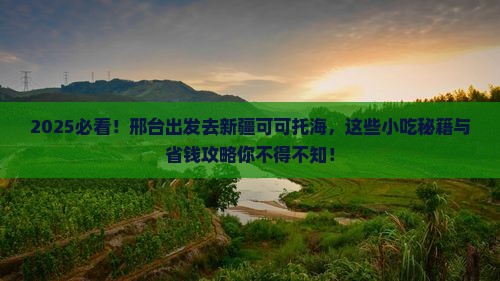 邢台到新疆可可托海旅游小吃