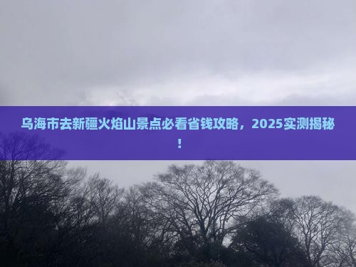 乌海市去新疆火焰山景点