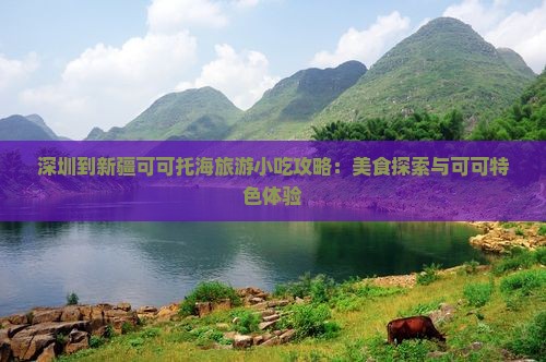 深圳到新疆可可托海旅游小吃