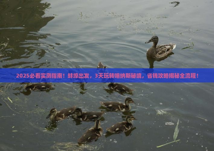 蚌埠到新疆喀纳斯三日游