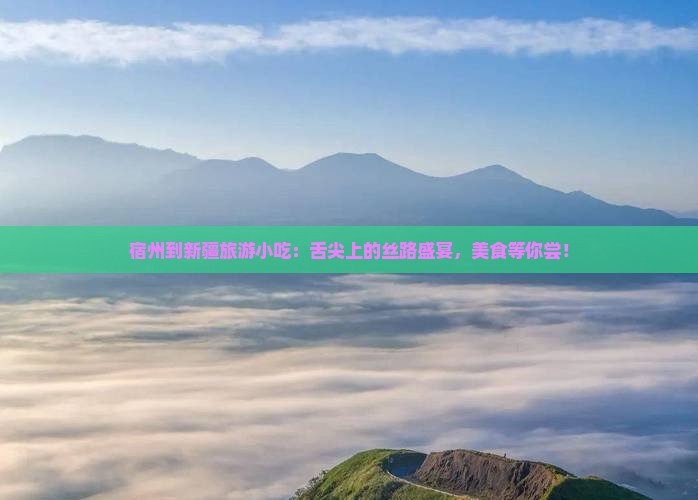 宿州到新疆旅游小吃