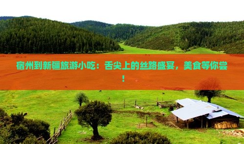 宿州到新疆旅游小吃