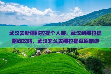 武汉去新疆那拉提个人游