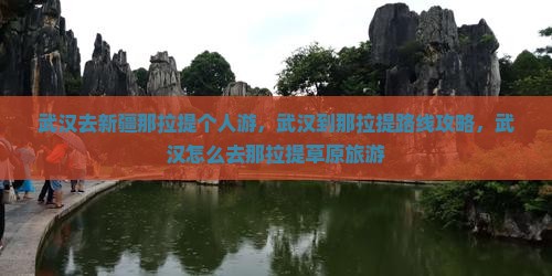 武汉去新疆那拉提个人游