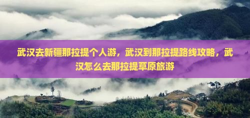 武汉去新疆那拉提个人游