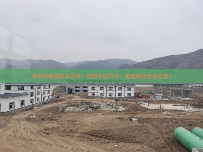毕节到新疆禾木景点
