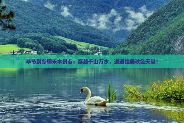 毕节到新疆禾木景点