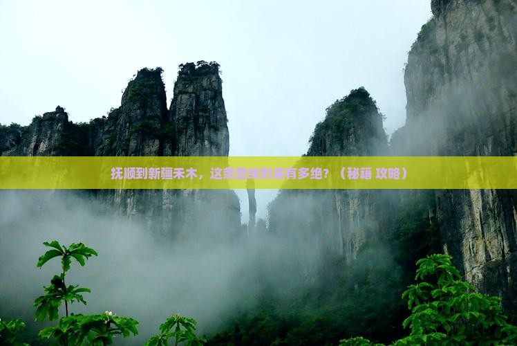 抚顺到新疆禾木必去地