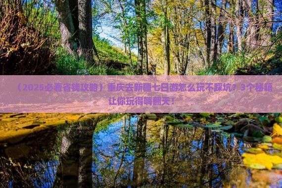 重庆去新疆七日游