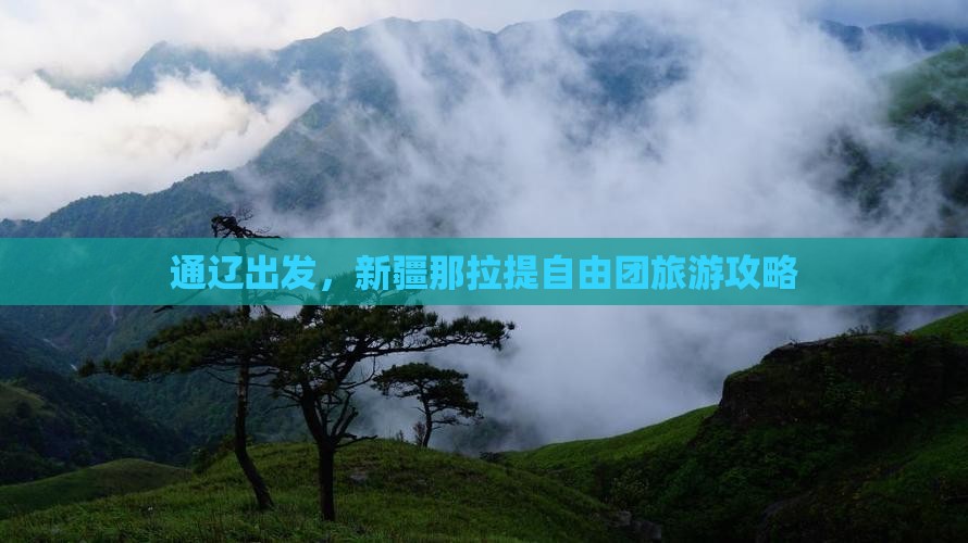 通辽到新疆那拉提自由团