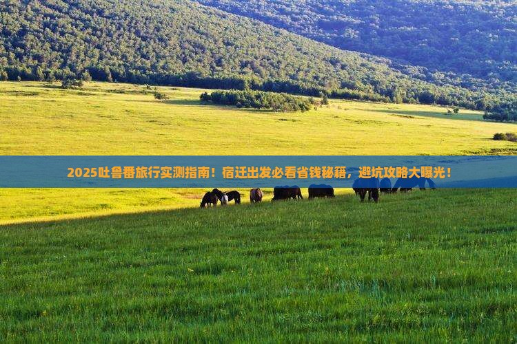 宿迁去新疆吐鲁番旅行社