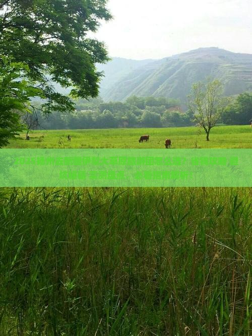 扬州去新疆伊犁大草原大型旅游团