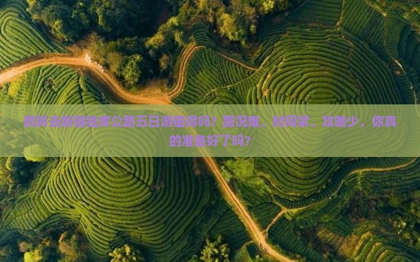 鹤岗去新疆独库公路五日游